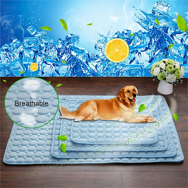Hunde Matte Kjøling Sommer Pad Matte For Hunder Katt Dekken