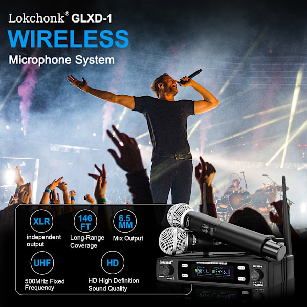 Professionell trådlös mikrofon system dubbel kanal UHF fast frekvens sladdlös handhållen dynamisk mikrofon