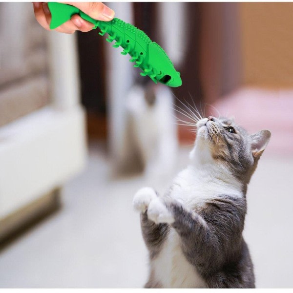 Kissa hammasharja kissanmintta lelu kissa interaktiiviset pelit kestävä kova kumi 360 aste puhdistus piste hammasharja puru lelu