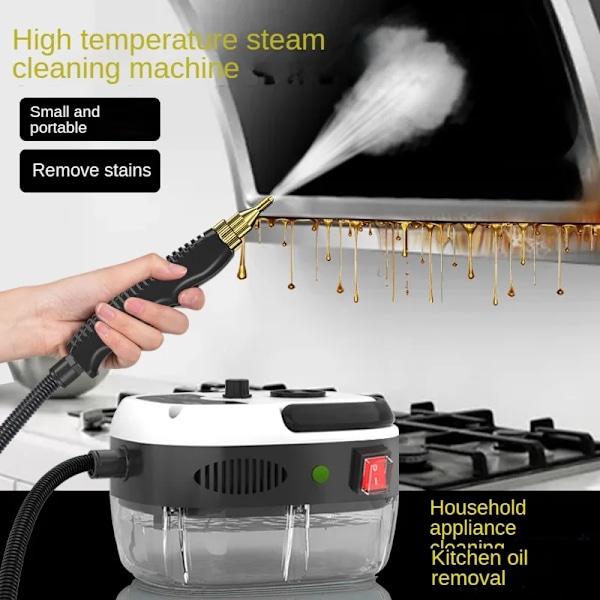 Professionell ångrengöring hög temperatur sterilisering luftkonditionering kök kåpa hem bil ångkokare rengöring