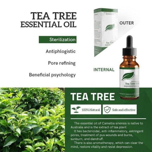 Natural Tea Tree Oil Fuktkräm Ansikte Kropp Hud För Kvinnor Hårvård Doft Aromaterapi Ren Massage Eterisk Olja