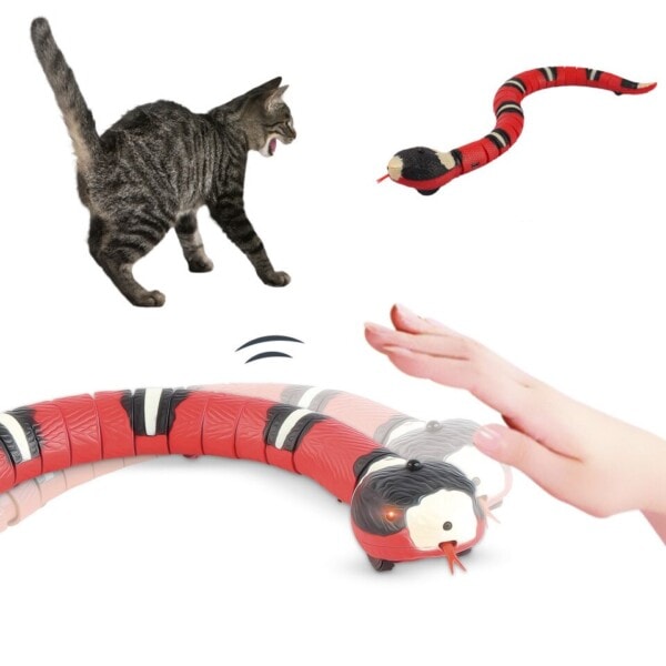 Elektronisk orm katt leksak