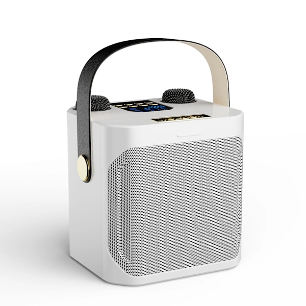 Hög effekt Karaoke Bluetooth Högtalare Bärbar 360 Stereo Surround Vattentät Trådlös Subwoofer med Dubbel mikrofon