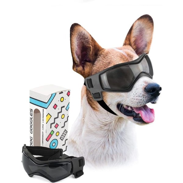 Hund glasögon liten ras hund solglasögon för små ras UV skydd glasögon