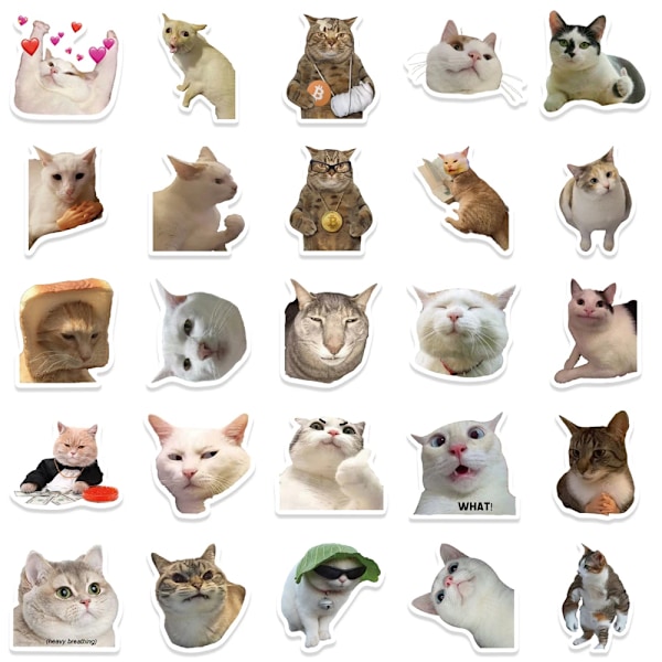 50 stykker Søde Katte Klistermærker Vinyl Vandtætte Sjove Katte Decals