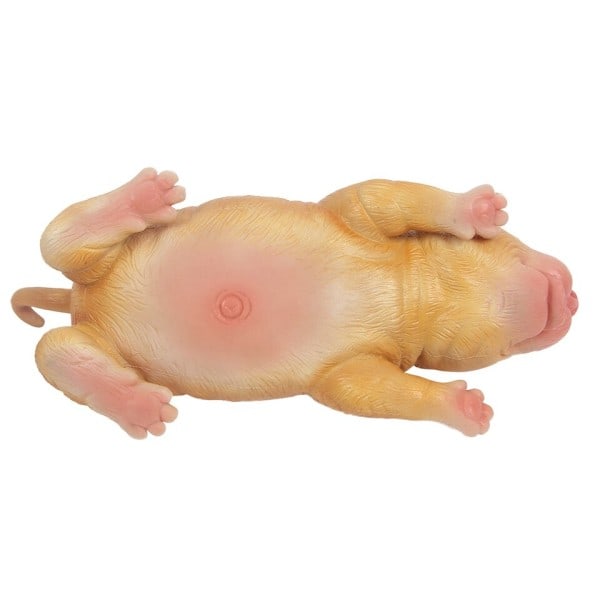 Fuld Silicone Reborn Hund Dukke med Øje Blød Silicone Realistisk Samlerobjekt Kunst Legetøj