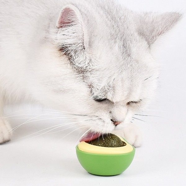 Avocado Kattenurt Væg Kugle Kat Magic Mynte Kugle Spiselig Slikke bolde Snack Sund Roterbar Godbidder Legetøj