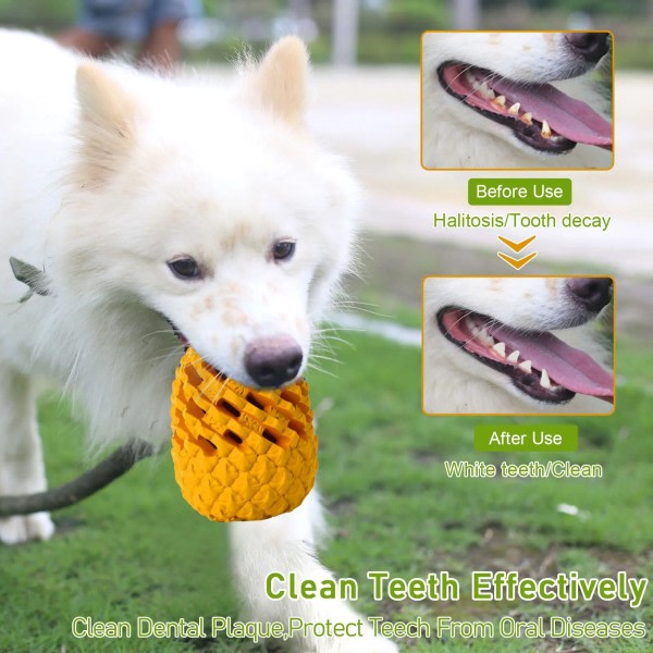 Hund Tugga leksaker för aggressiva tuggare Tuffa Hund Dental Chews Toy, Oförstörbar Hund leksaker