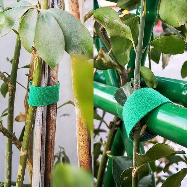 3 Ruller Grøn Have Sejlgarn Plante Slips Nylon Plante Bandage Have Krog løkke Bambus Rand Wrap Støtte Have Tilbehør