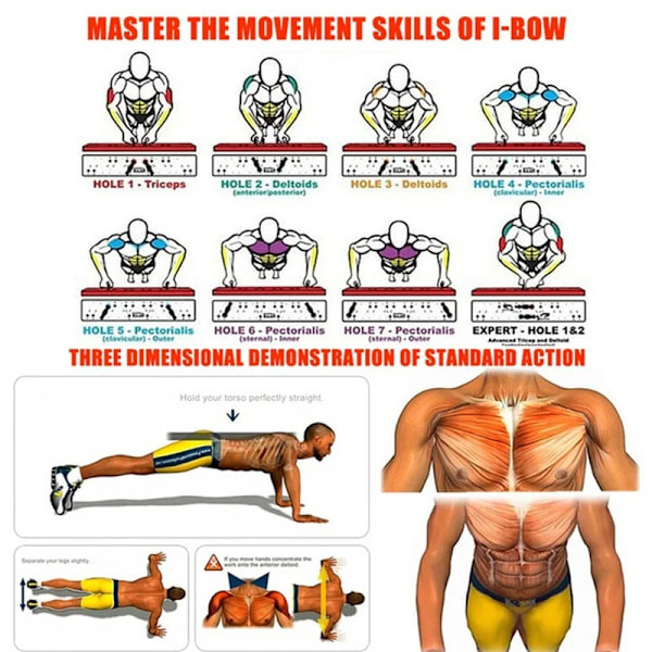 Bärbar Multifunktionell Push-up Bräde Set Med Handtag Vikbar Professionell Fitness utrustning
