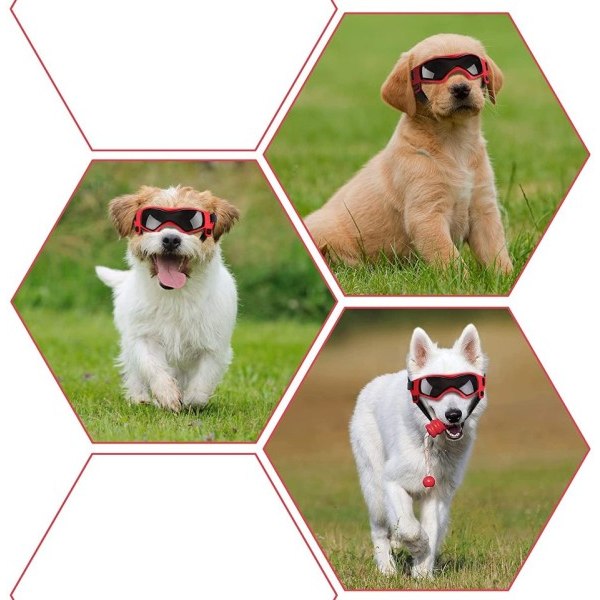 Hund glasögon liten ras lätt bär liten hund solglasögon,Ajusterbara UV skydd valp solglasögon
