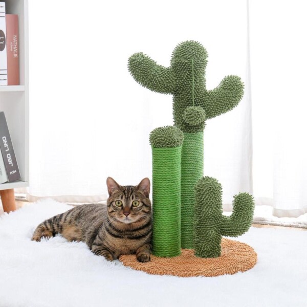 Kaktus Stil Katt Träd Hus Klättring Stretching stolpar