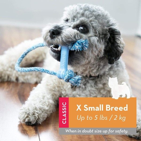 Valp Goodie Bein med Tau - Banner Gummi Tenner Rengjøring Hund Leke