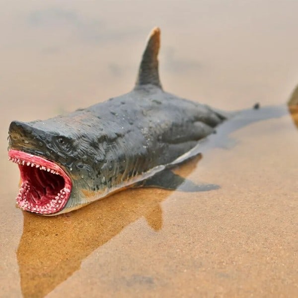 Marine Sea Life Megalodon Action Figur Klassisk Ocean Dyr Big Shark Fish Model