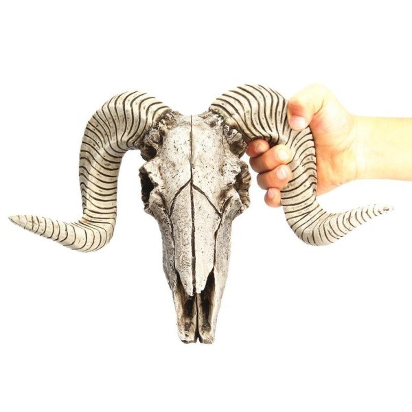 Harpiks Skjelett Vurm Sau Hode Skull Hode Vegg hengende 3D Dyr Longhorn Skulptur Figuriner Håndverk
