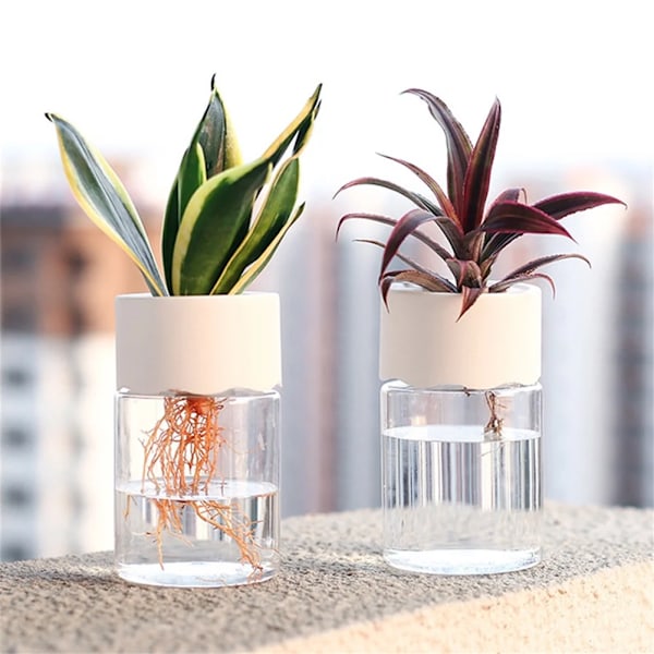 Mini Hydroponic Blomma Kruka Hem Vas Dekor Transparent Imitation Glas Smutsfri Växt Krukor Grön Växter Kruka För Hem Dekoration