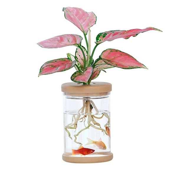 Mini Hydroponic Blomster Kryte Hjem Vase Dekor Transparent Imitasjon Glass Smullfri Plante Krukker