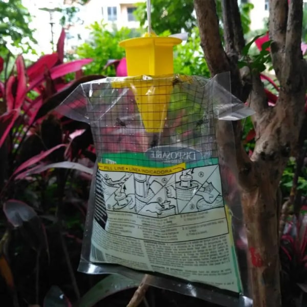 6 kpl riippuva perho pyydys kertakäyttöinen perho sieppari laukku hyttysten pyynti kärpäsen ampiainen hyönteis häkä tappaja kärpästen ansa