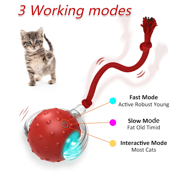 Interactive Cat Toy Ball Super Drive Cat Rolling Balls med fågel kvitter