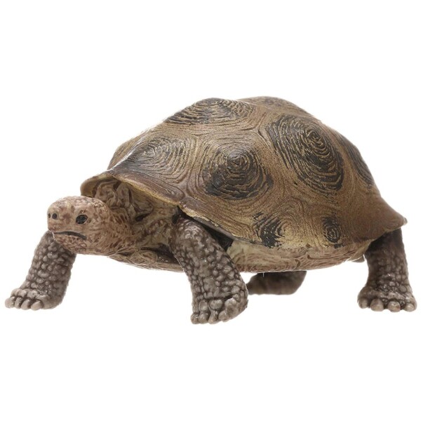 3,4 tum jätte sköldpadda vild liv djur leksak sköldpadda figur