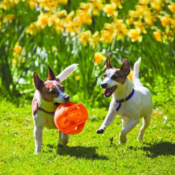 Jumbler Ball  Interactive Fetch Dog Lelu tennis pallolla
