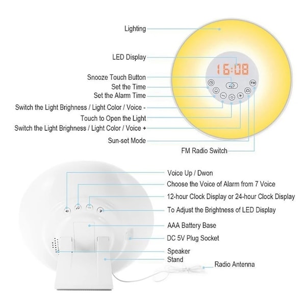 Sunrise/Sunset Simulation Lysende Digitalt Ur med FM Radio