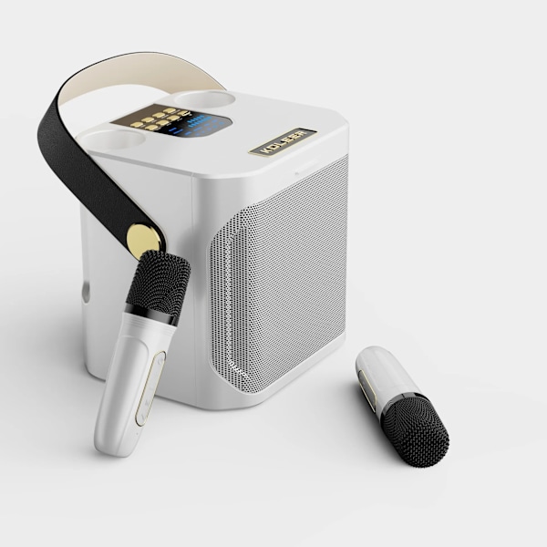 Hög effekt Karaoke Bluetooth Högtalare Bärbar 360 Stereo Surround Vattentät Trådlös Subwoofer med Dubbel mikrofon