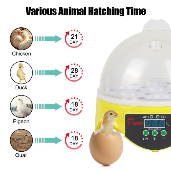 Mini Ägg Inkubator Gård Kläckeri Bröder Justerbar Digital Temperatur Fjäderfä Inkubator