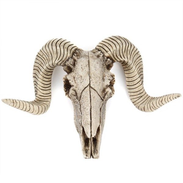 Harpiks Skjelett Vurm Sau Hode Skull Hode Vegg hengende 3D Dyr Longhorn Skulptur Figuriner Håndverk