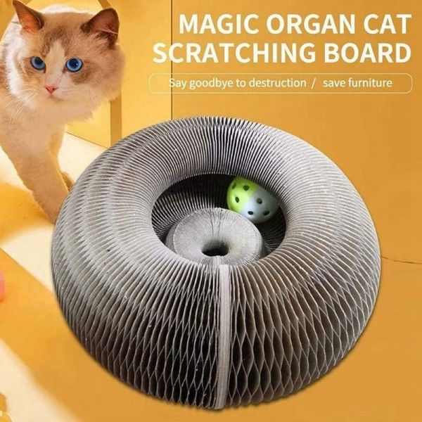 Magic Organ Cat raaputus lauta kissa lelu kello kissa hionta kynsi kissa kiipeily kehys
