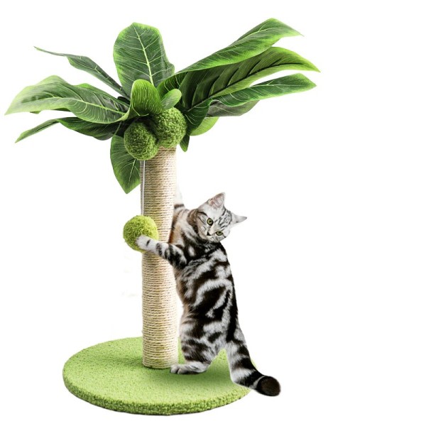 Kissan raaputustolppa kissanpennulle söpö vihreät lehdet kissa raaputustolpat sisalilla köydellä sisätilojen kissat