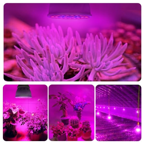 LED Plante Lampe Kopp E27 Plante Innendørs Fylling Lys