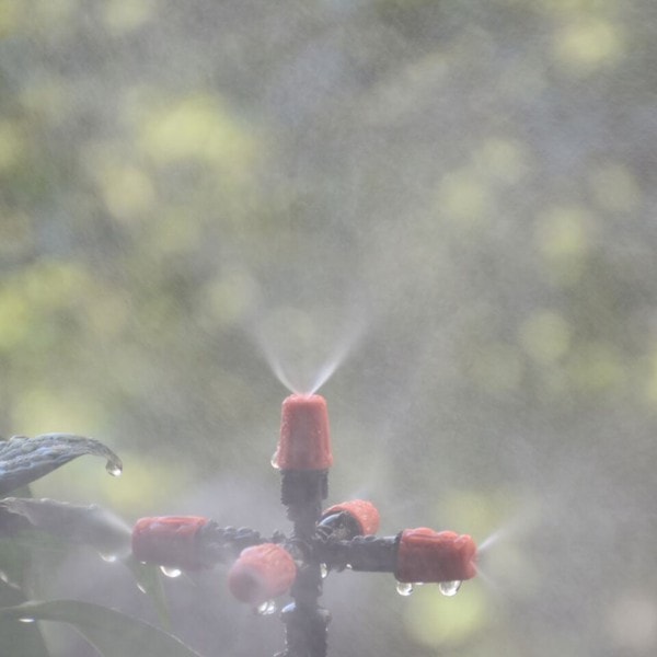 Tåge sprinkler 5-vejs tåge sprinkler dyse justerbar dugge tåge vand 1 sæt automatisk blomst