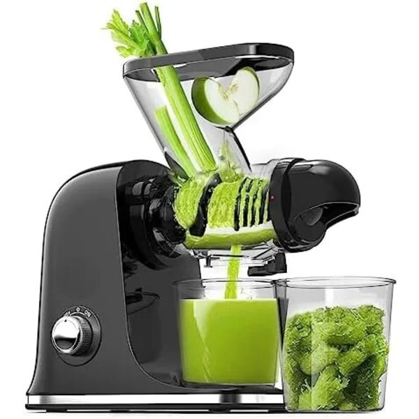 Sakte Masticering Juicer Maskiner Dobbel Feed Chute Kald Press Juicer Compact Juice Extractor Maker