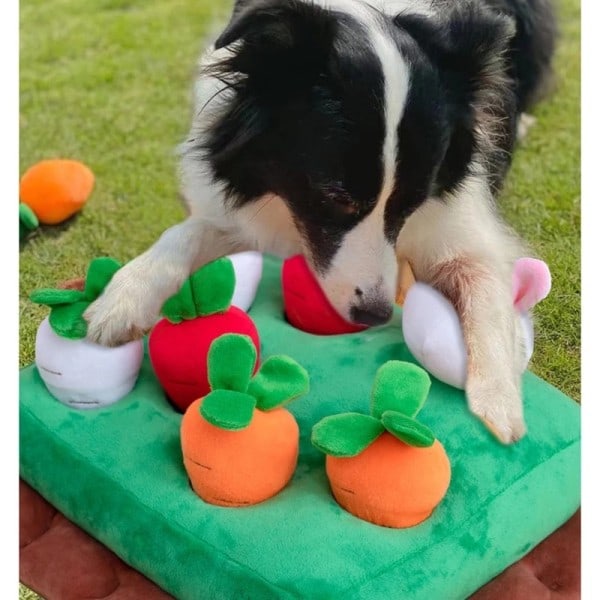 Hund leksaker morot plysch leksak för hundar snuffle matta husdjur grönsaker tugga leksak för hundar