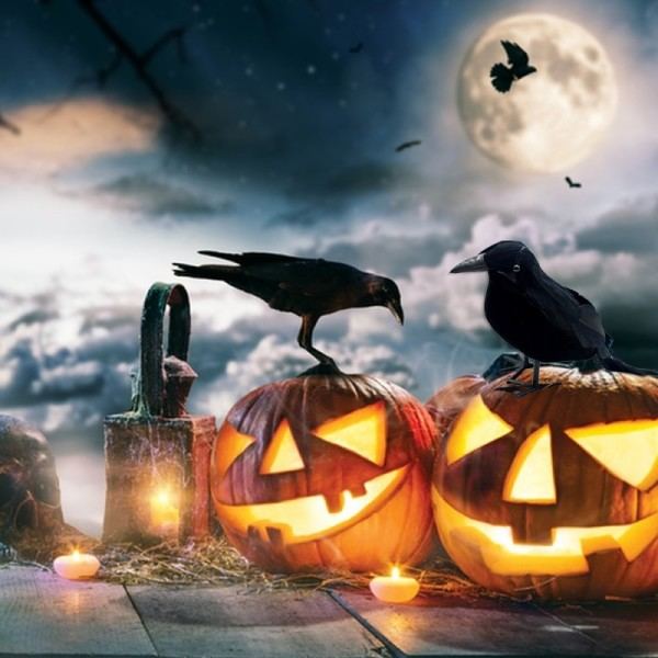 Halloween Svart Kråke Ornament Simulering Kråke Dyr Modell Fugl Skremmende Leker