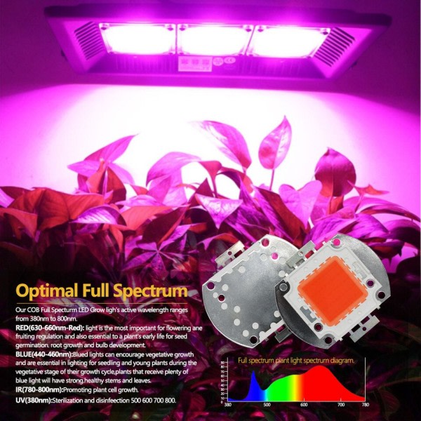 12V  LED Plant Grow Light Suuri teho LED siru