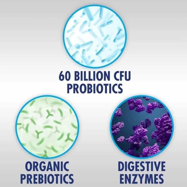 Prebiotika Probiotika Kombo  støtter sunn fordøyelse & immunsystem
