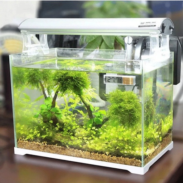 Akvarium Termometer Elektronisk LCD Digital Fisk Tank Temperatur Måling Fisk Tank Temp Måler Akvarie Tilbehør