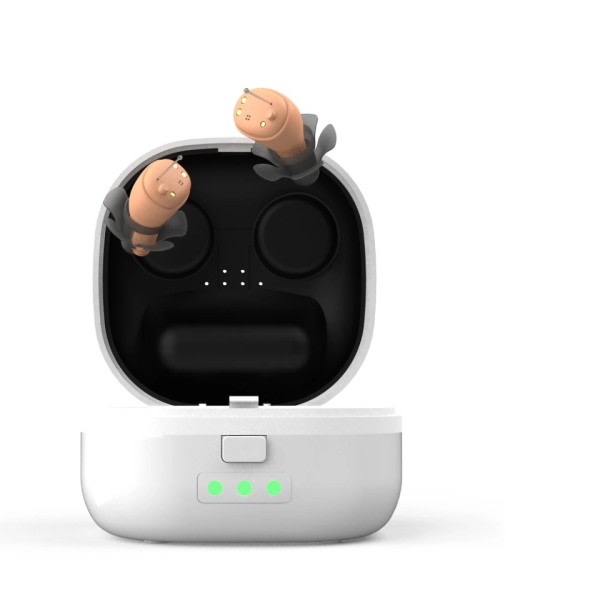 Mini Digital Hörselapparater Uppladdningsbar 6kanals Ljud Förstärkare Lågt brus