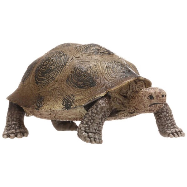 3,4 tommer Kæmpe skildpadde Vild Liv Dyr Legetøj Skildpadde Figur