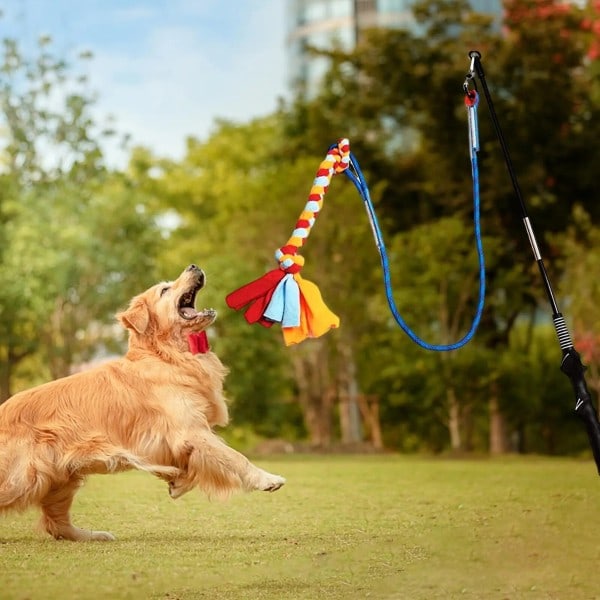 Flirta Stång för hundar med tugga leksak stora ras lång interaktiva hund leksaker