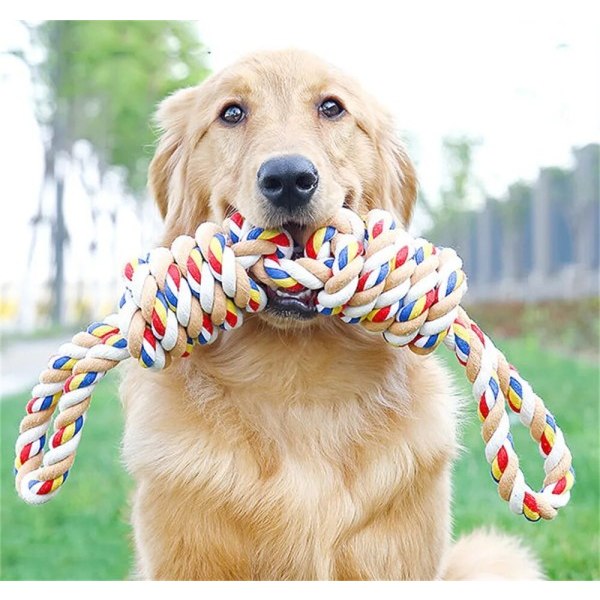 Lemmikki koira lelu pallo purenta kestävä poski koira purenta pallo solmu interaktiivinen koulutus puuvilla köysi lemmikki tarvikkeita