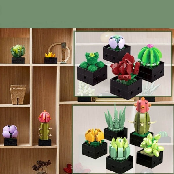 Udødelig Blomster Potte Ornamenter Sukkulenter Model Værelse Dekoration Bygge Klodse