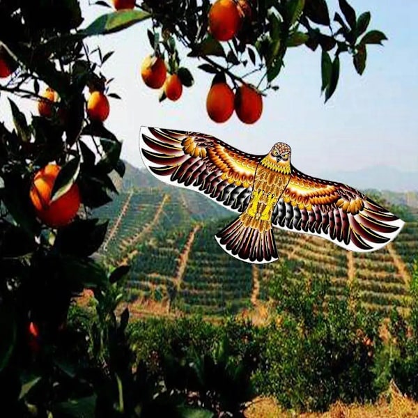 Anti Bird Flying Hawk Kite Bird Repeller Iso Eagle Kites Scarecrow Shoy farm Garden Tuholais lintujen karkotusaine