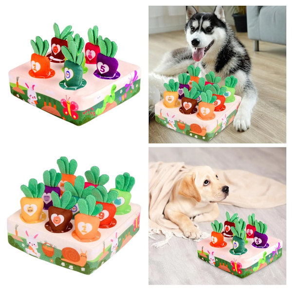 Hund Plysj Gulrot Matter Interaktiv Hund Leke Foraging Trening Hund Puslespill Leker