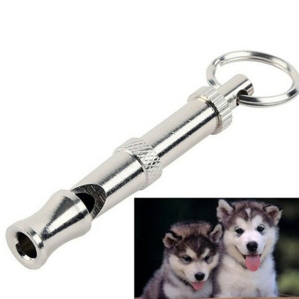 Hund fløyte for å stoppe bjeffing bjeff kontroll for hunder trening