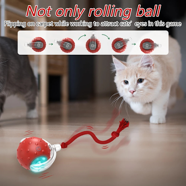 Interactive Cat Toy Ball Super Drive Cat Rolling Balls med fågel kvitter