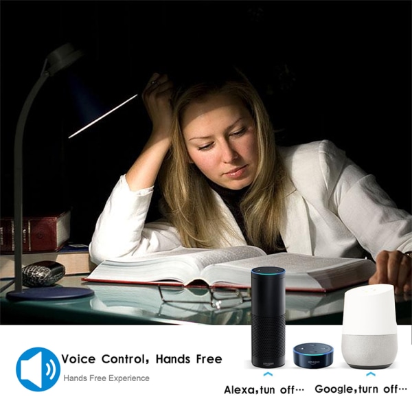 Standard WiFi Smart Stik med Strøm Monitor, Smart Life APP Smart Socket Voice Work
