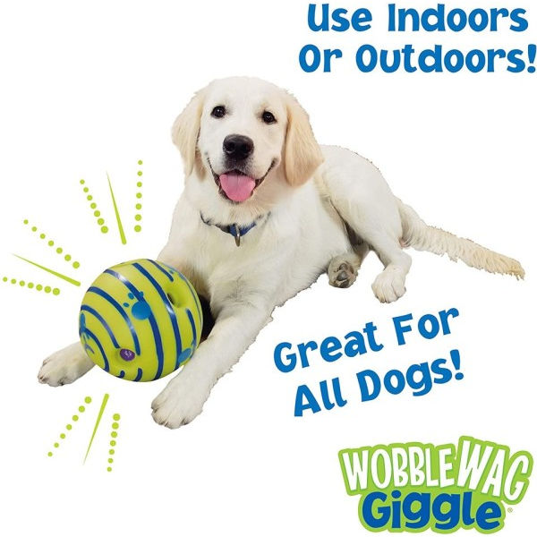 Glow Ball Interactive Hund Leksak Kul Giggle Ljud När rullad eller skakas
